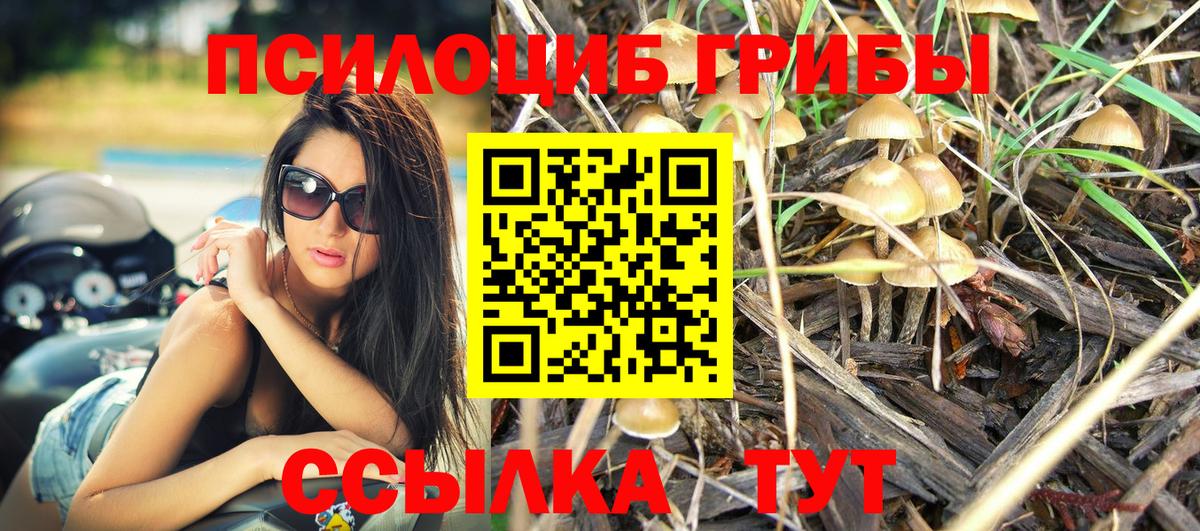 Псилоцибиновые грибы Psilocybe  Вход с VPN  Галлюциногенные грибы мицелий  Звенигород 