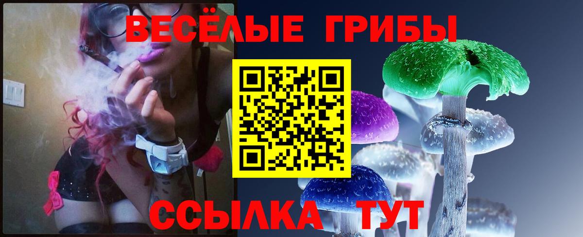 Псилоцибиновые грибы прущие грибы Звенигород